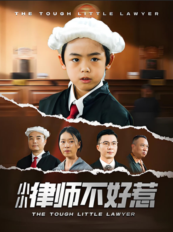 小小律师不好惹(全集)