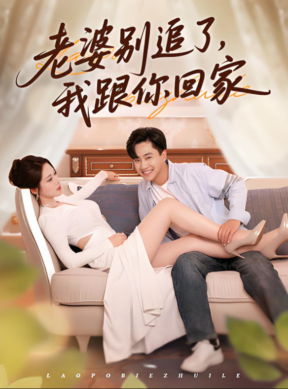 老婆别追了我跟你回家(全集)