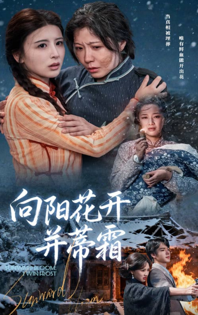 向阳花开并蒂霜(全集)