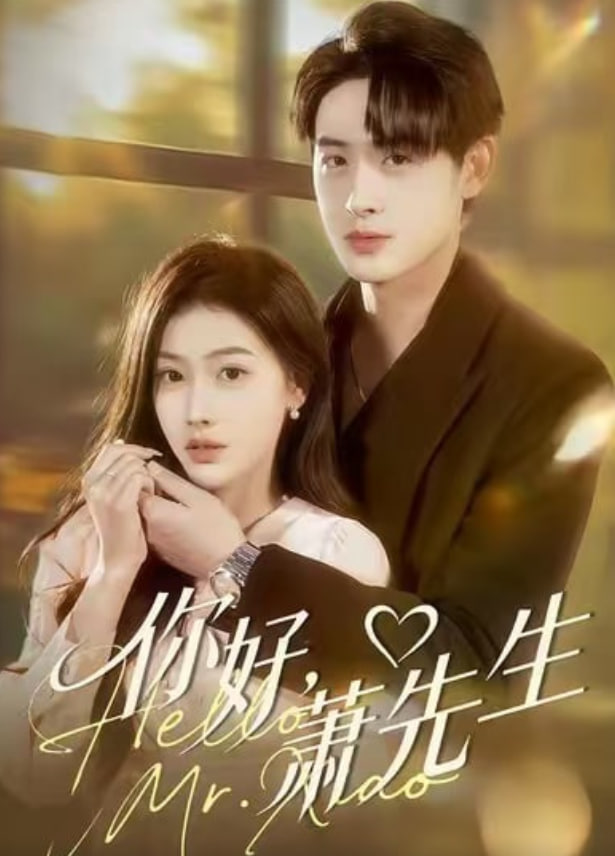 你好，萧先生(全集)