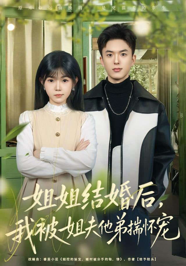 姐姐结婚后，我被姐夫他弟揣怀宠(全集)