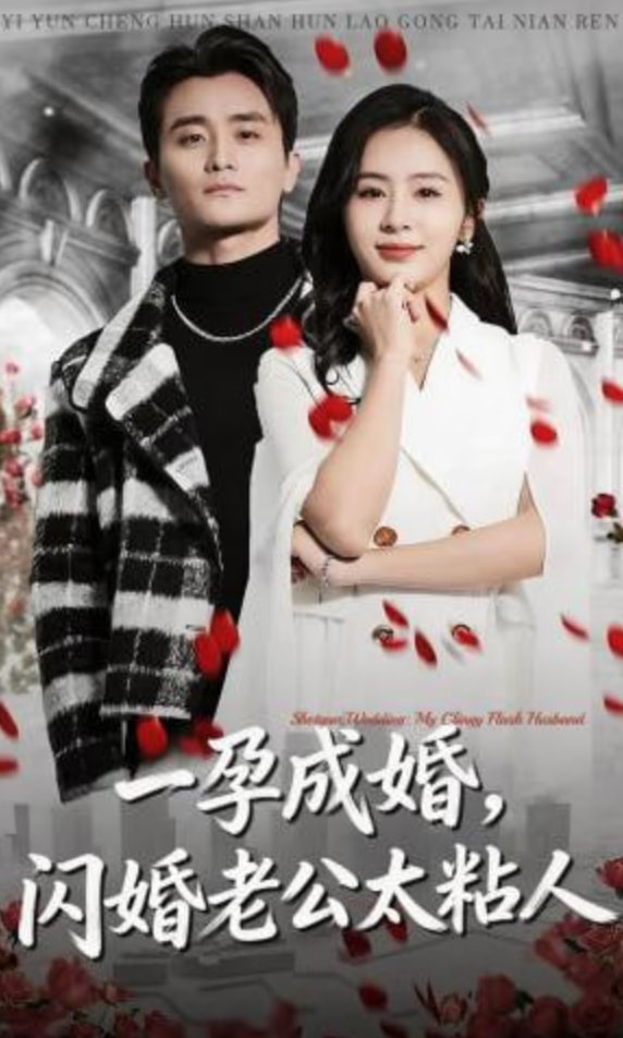 一孕成婚，闪婚老公太粘人(全集)