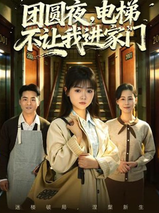 团圆夜，电梯不让我进家门(全集)