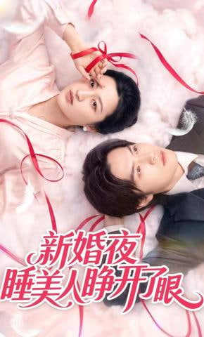 新婚夜睡美人睁开了眼(全集)