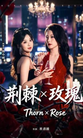 荆棘X玫瑰(全集)