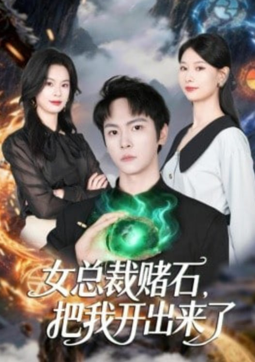 女总栽赌石，把我开出来了(全集)