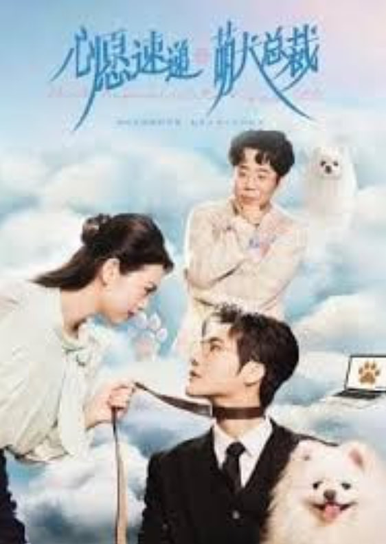 心愿速递之萌犬总裁(全集)