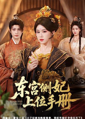 东宫侧妃上位手册(全集)