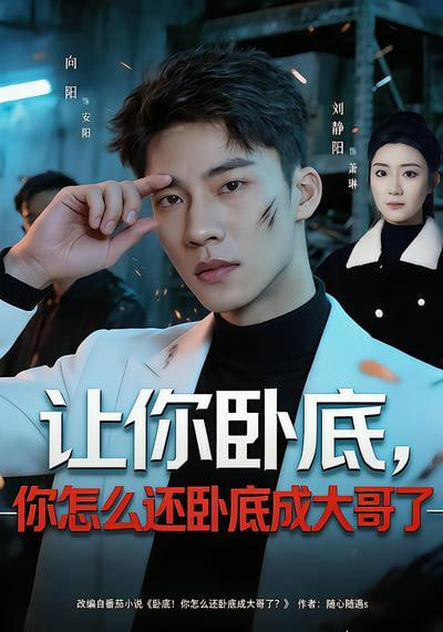让你卧底，你怎么还卧成大哥了(全集)