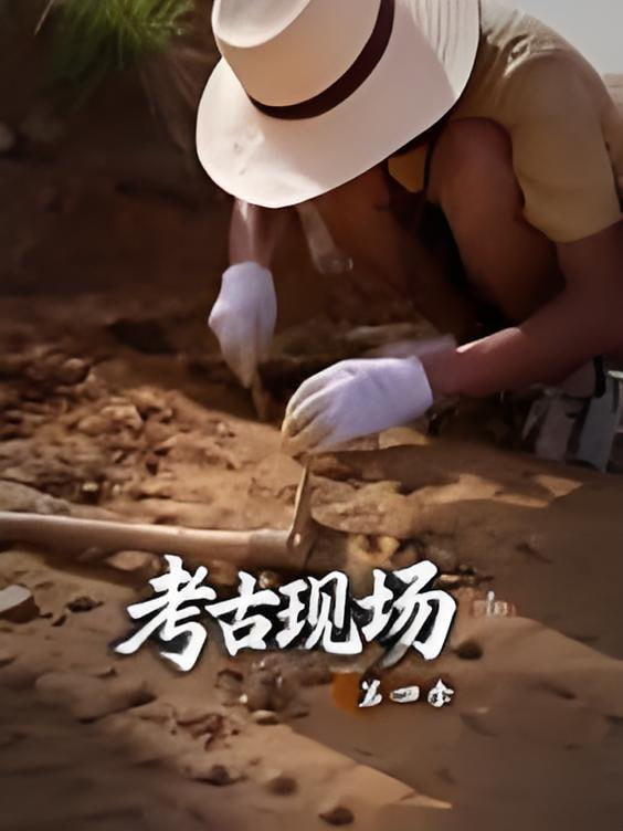 X档案·考古现场第四季(全集)