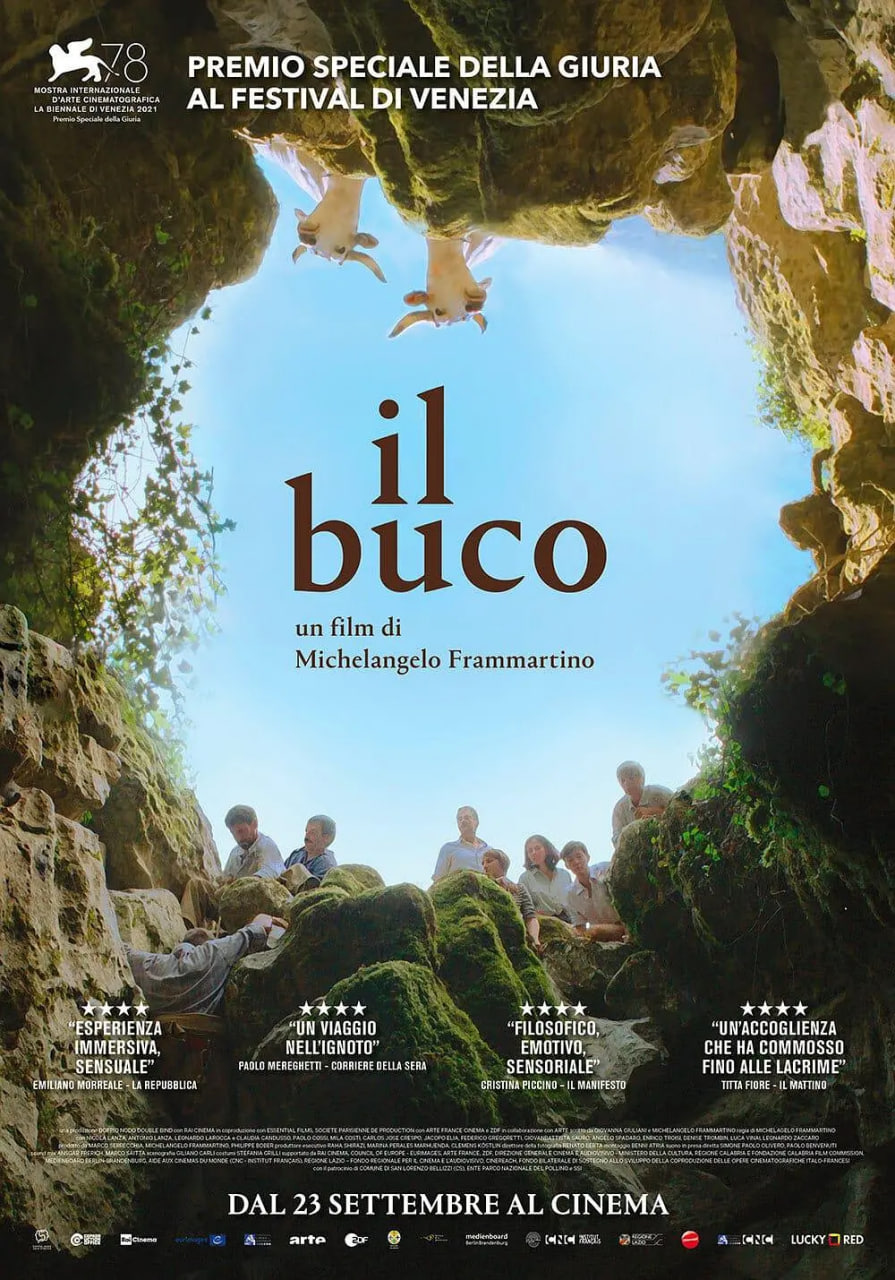 洞 Il 2021