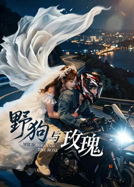 野狗与玫瑰(全集)