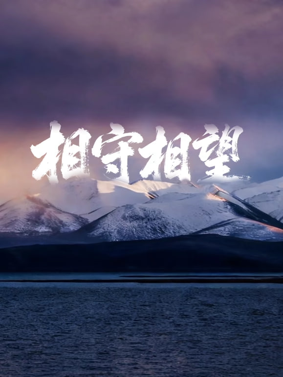 相守相望暨守护哈拉湖行动(全集)
