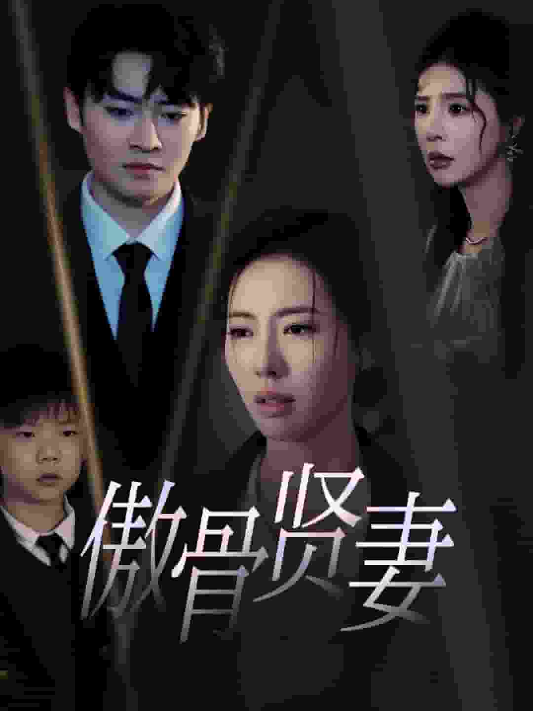 傲骨贤妻(全集)