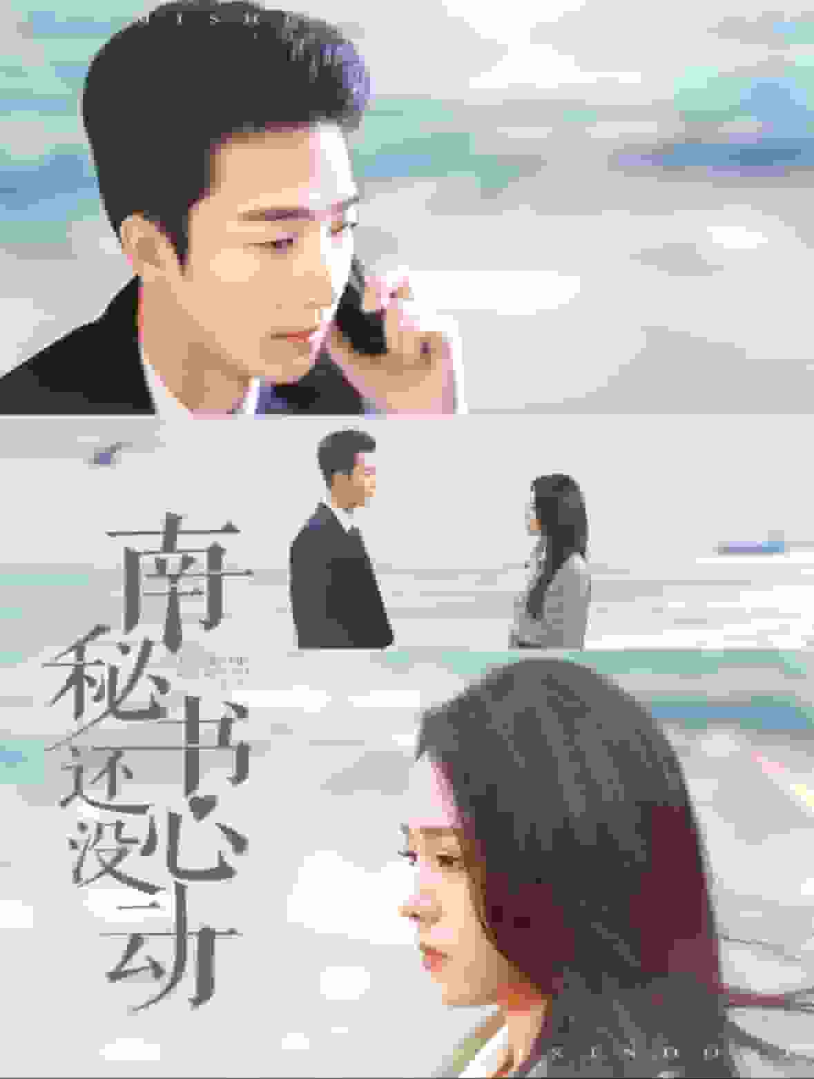 南秘书还没心动(全集)