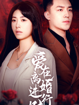 爱在离婚进行时 短剧版(全集)