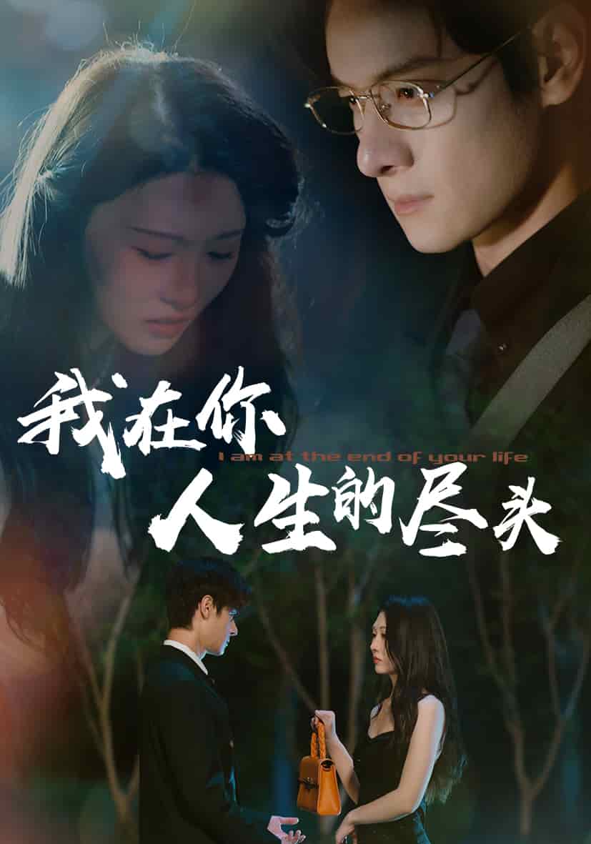 我在你人生的尽头(全集)
