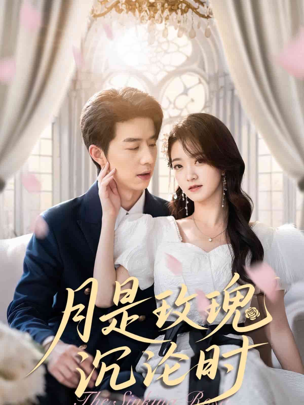 月是玫瑰沉沦时(全集)