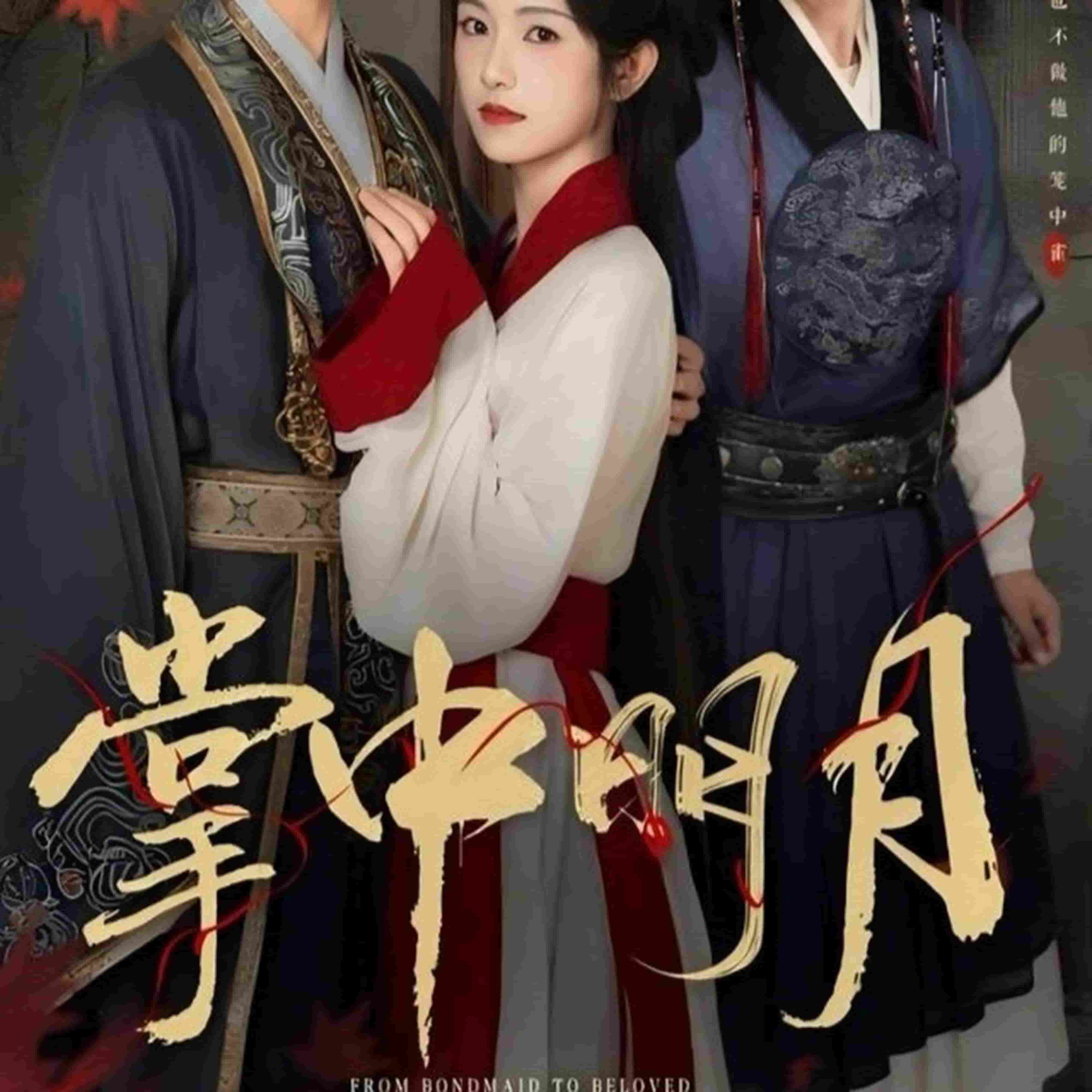 掌中明月(全集)