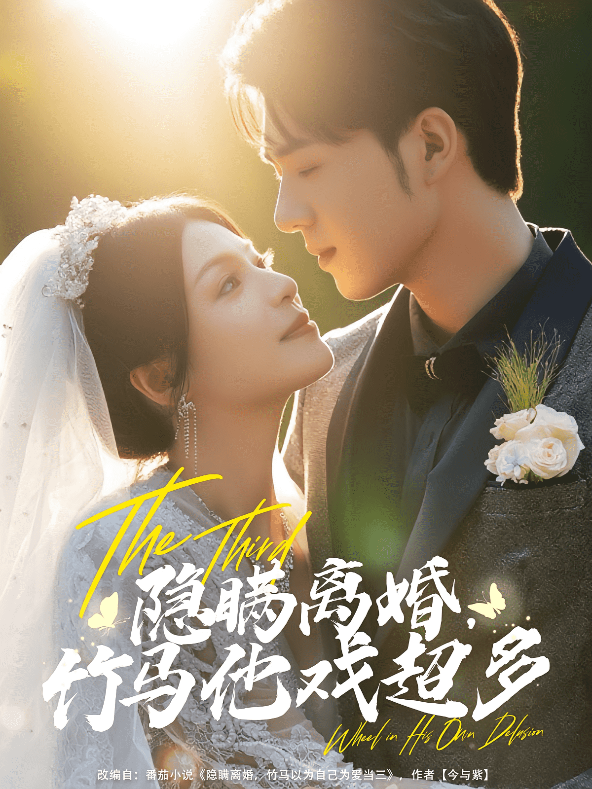 隐瞒离婚竹马他戏超多(全集)