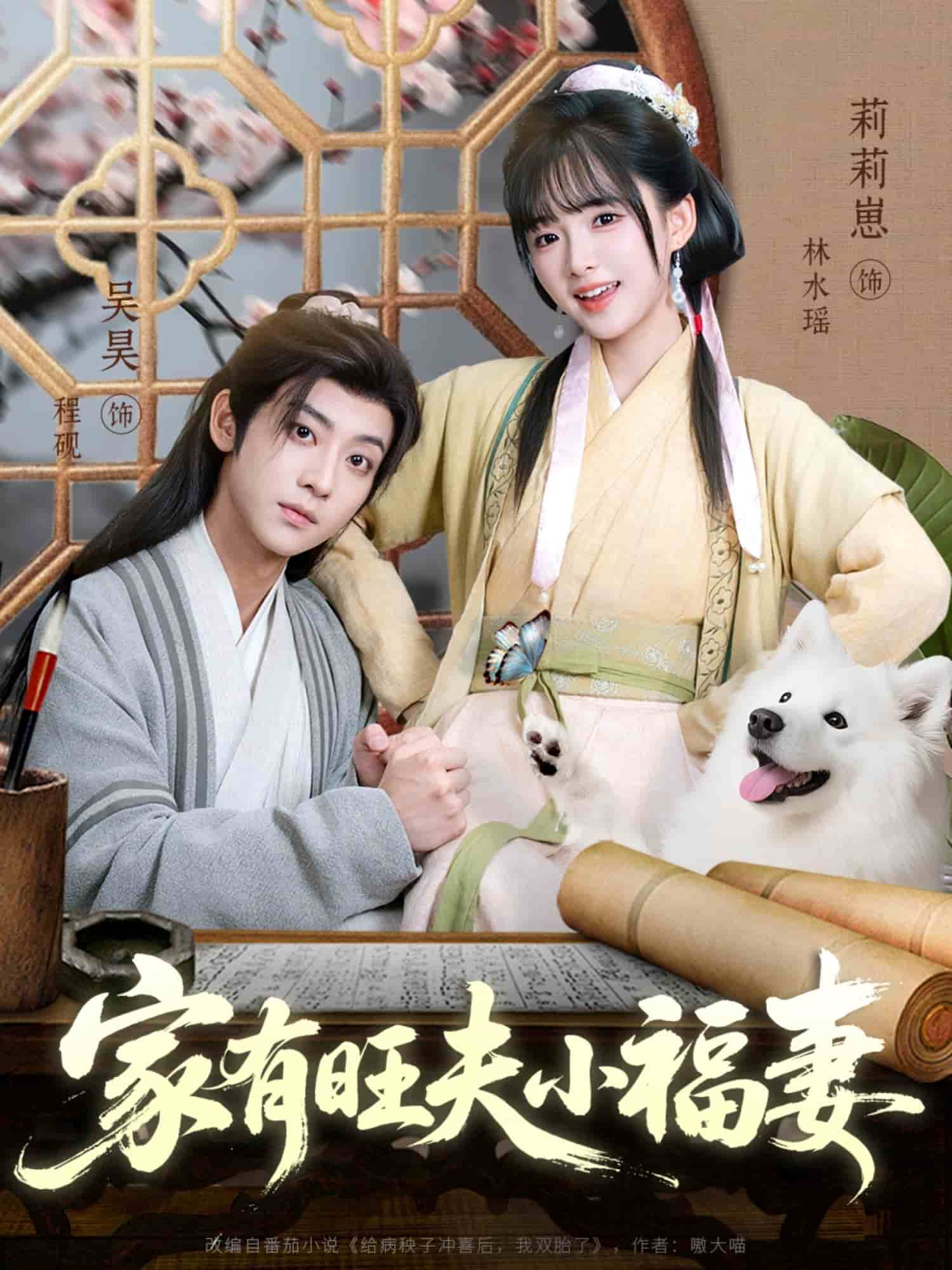 家有旺夫小福妻(全集)