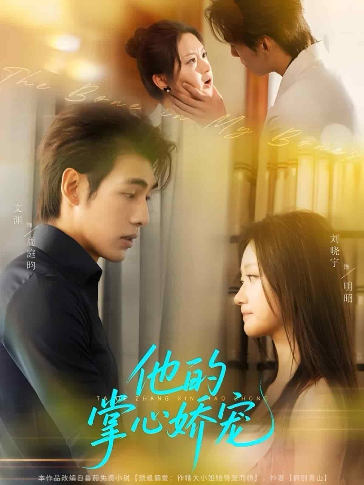 他的掌心娇宠(全集)