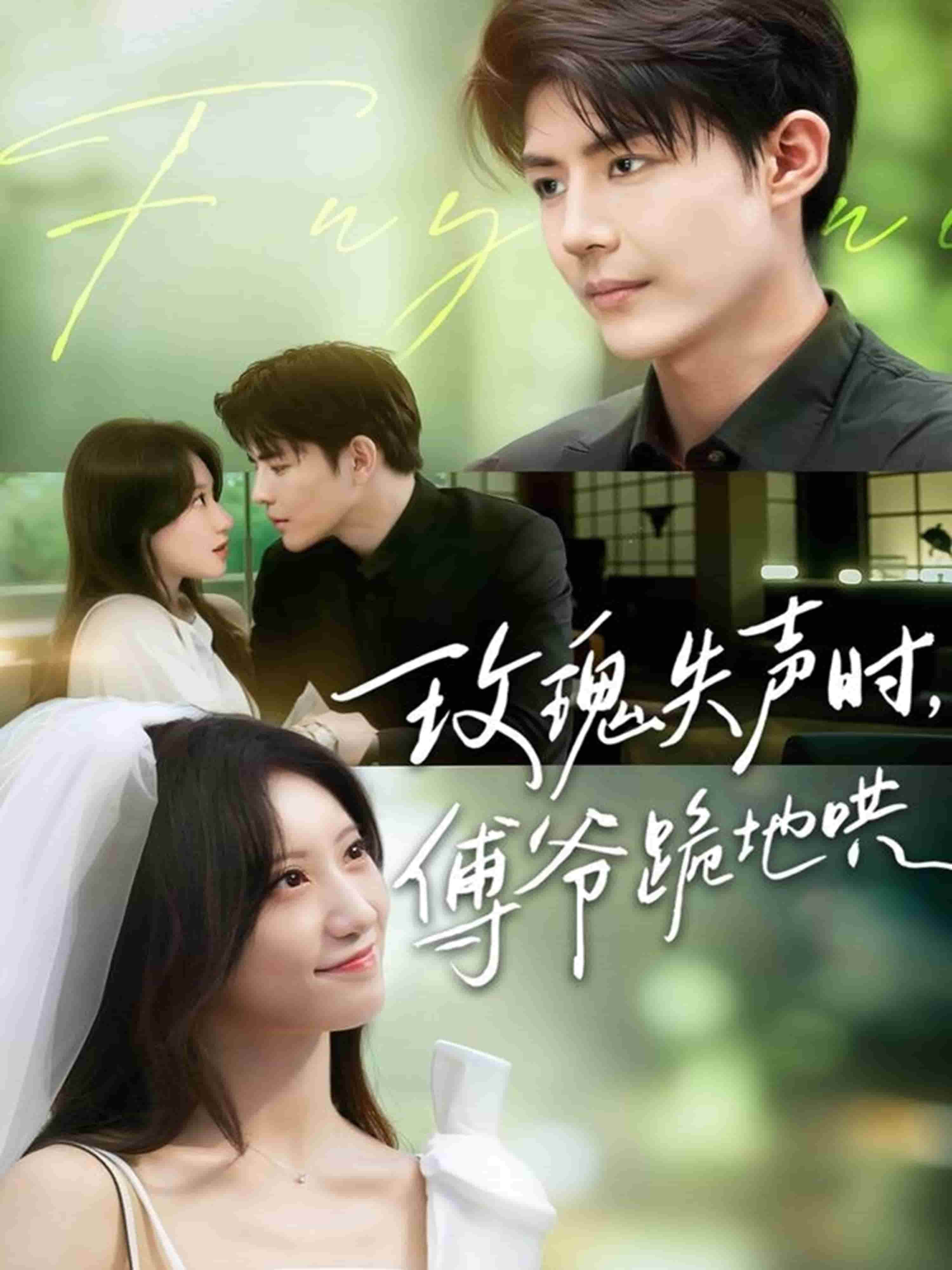 玫瑰失声时傅爷跪地哄(全集)