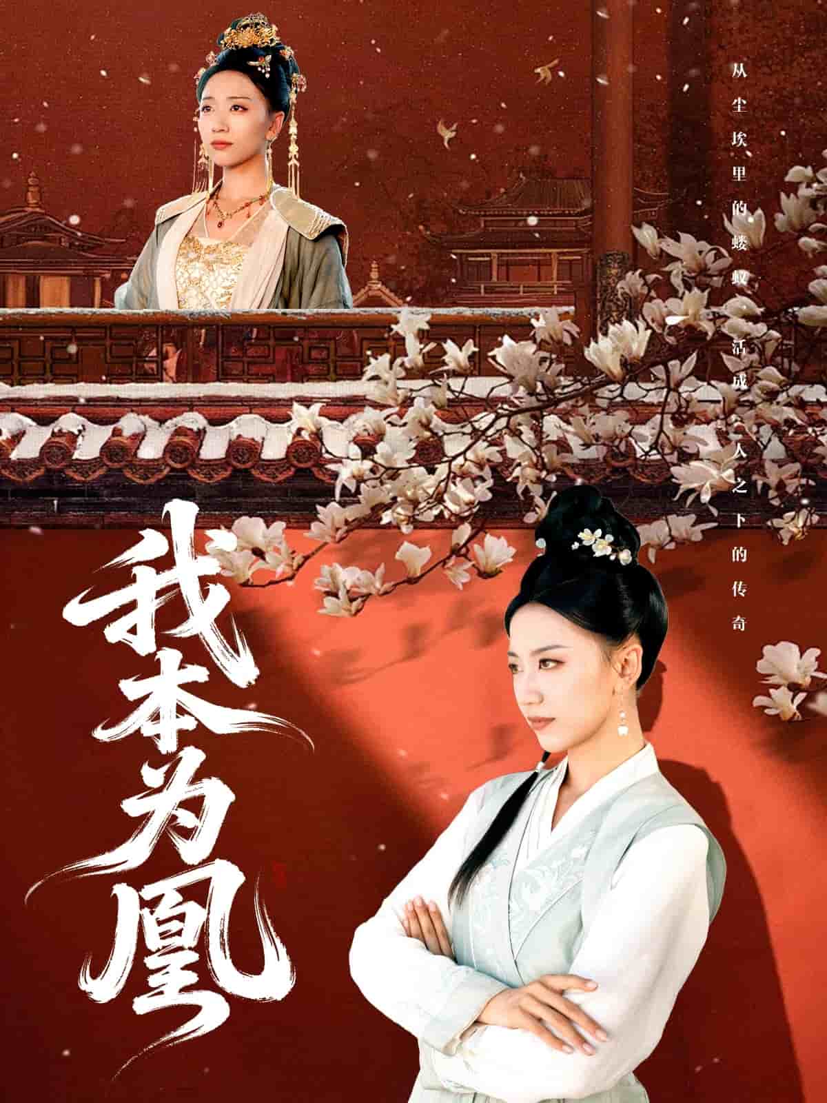 我本为凰(全集)