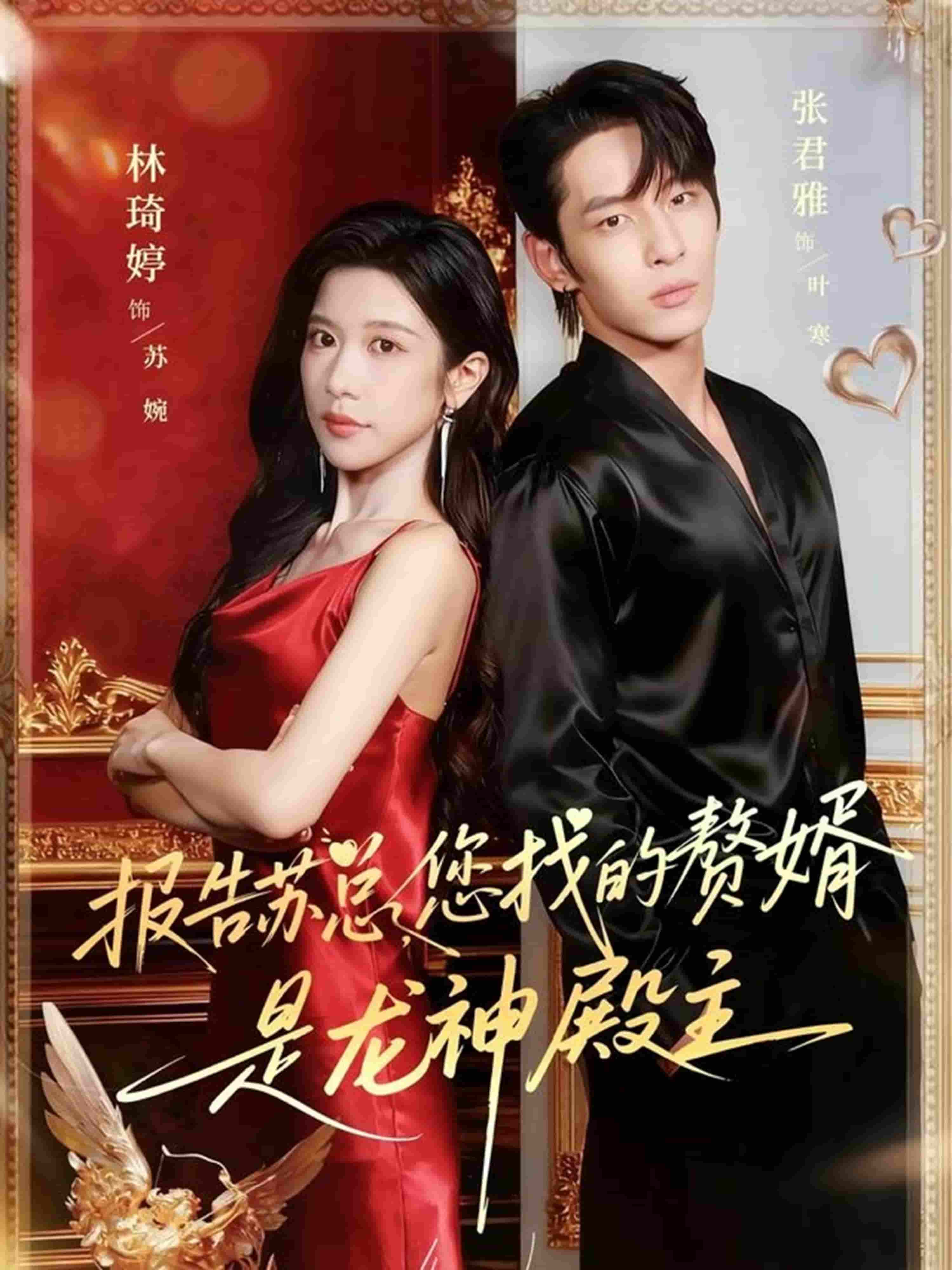 报告苏总，您找的赞婿是龙神殿主(全集)