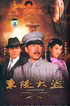 东陵大盗2008(全集)