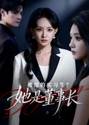 被甩的实习生？她是董事长(全集)