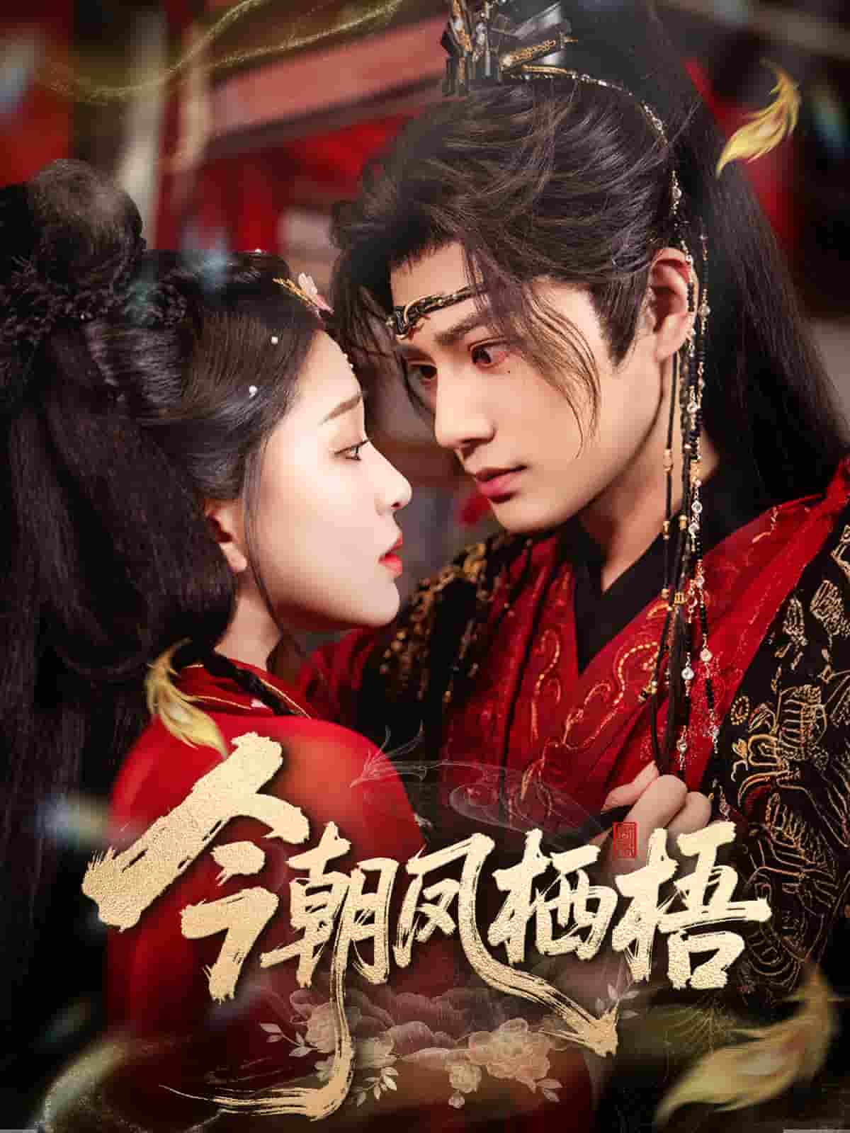 今朝凤栖梧(全集)