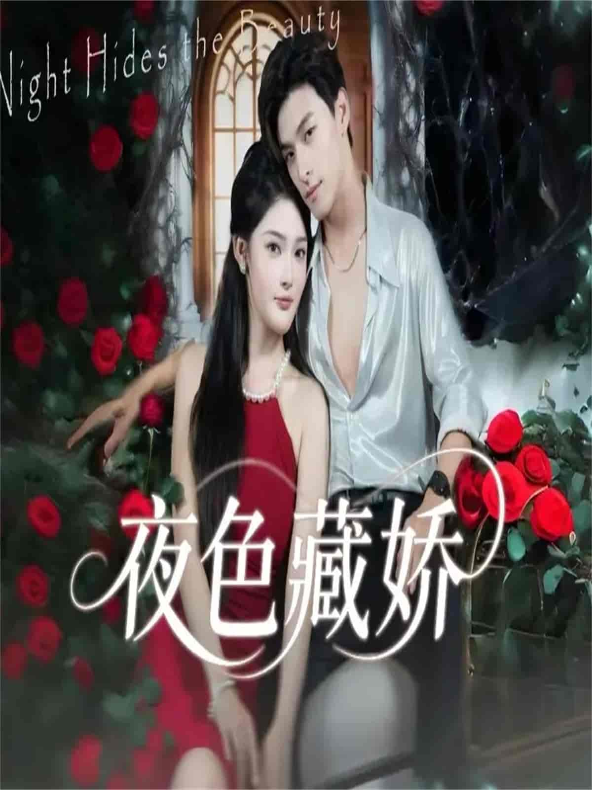 夜色藏娇(全集)