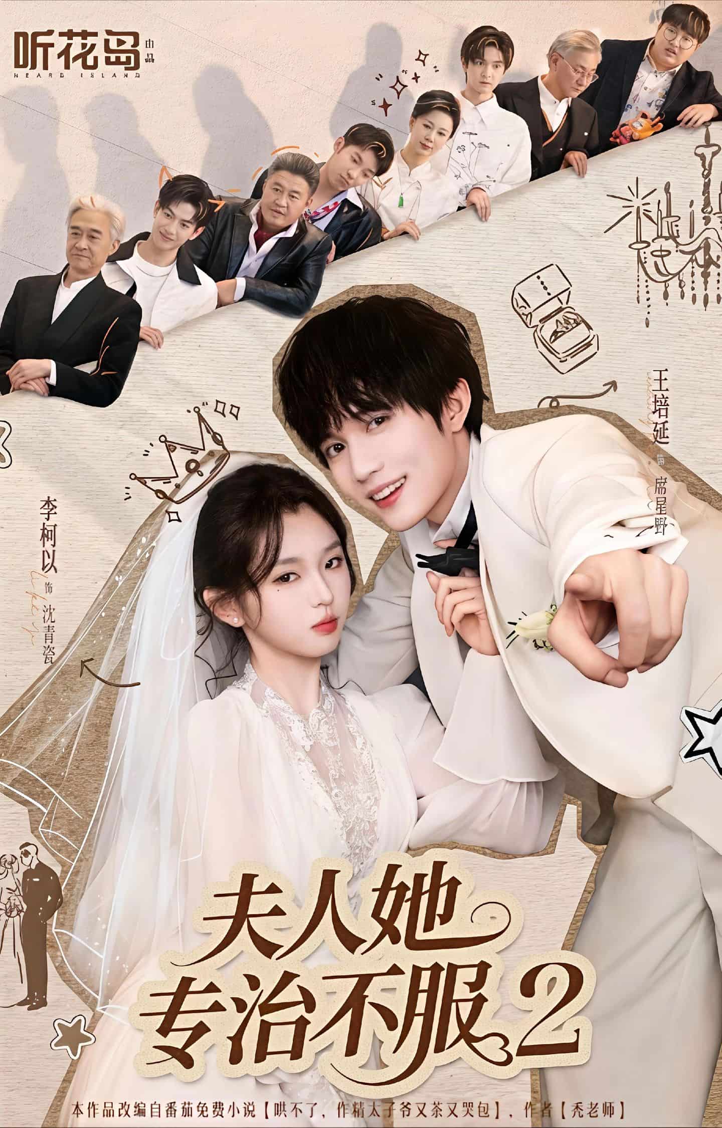 夫人她专治不服2(全集)