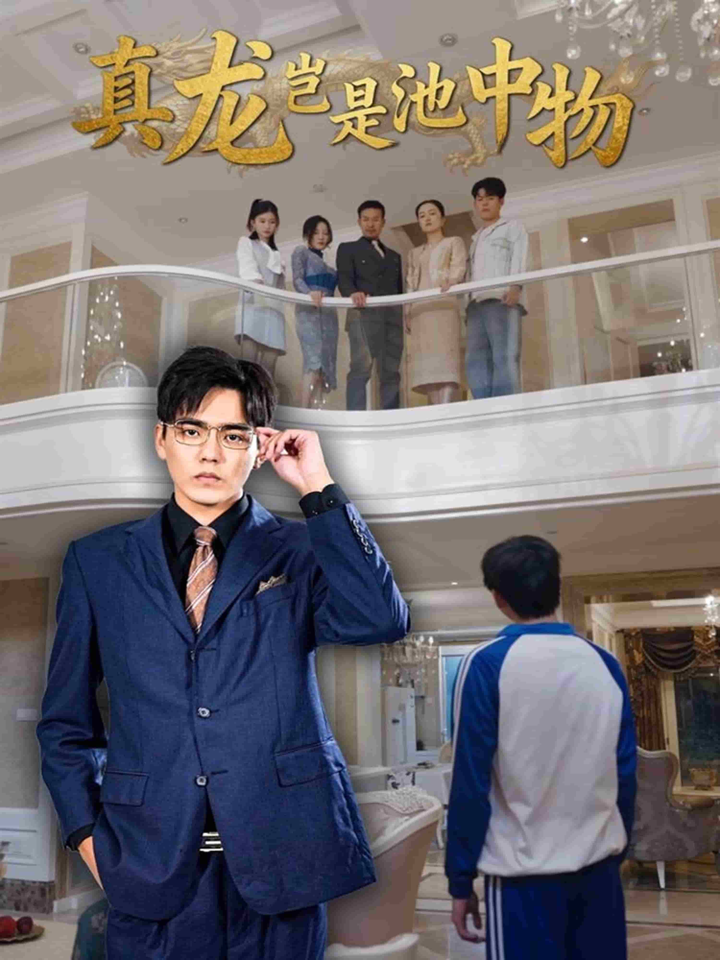 真龙岂是池中物(全集)