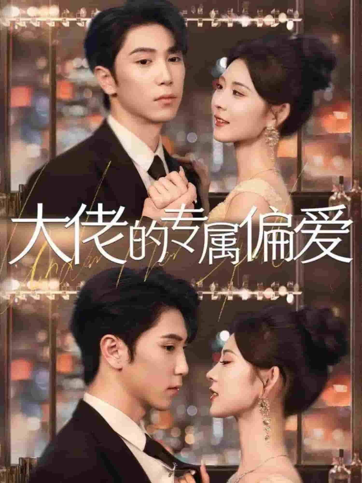 大佬的专属偏爱(全集)