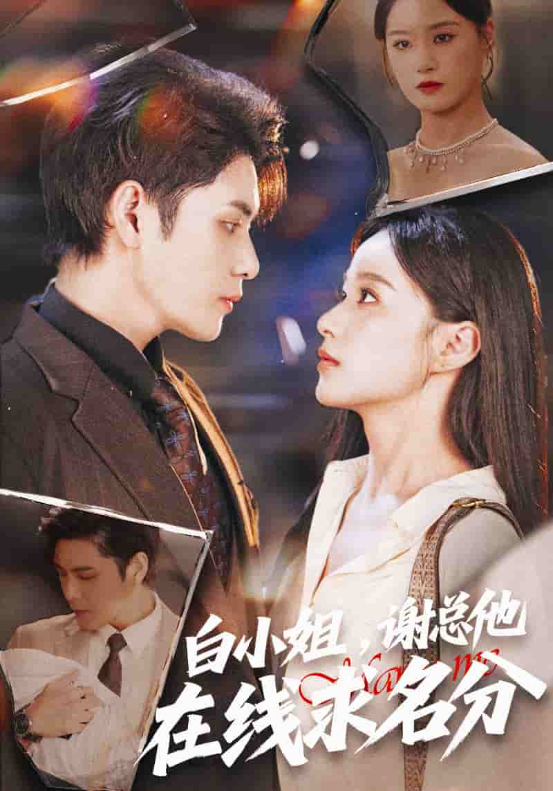 白小姐，谢总他在线求名分(全集)