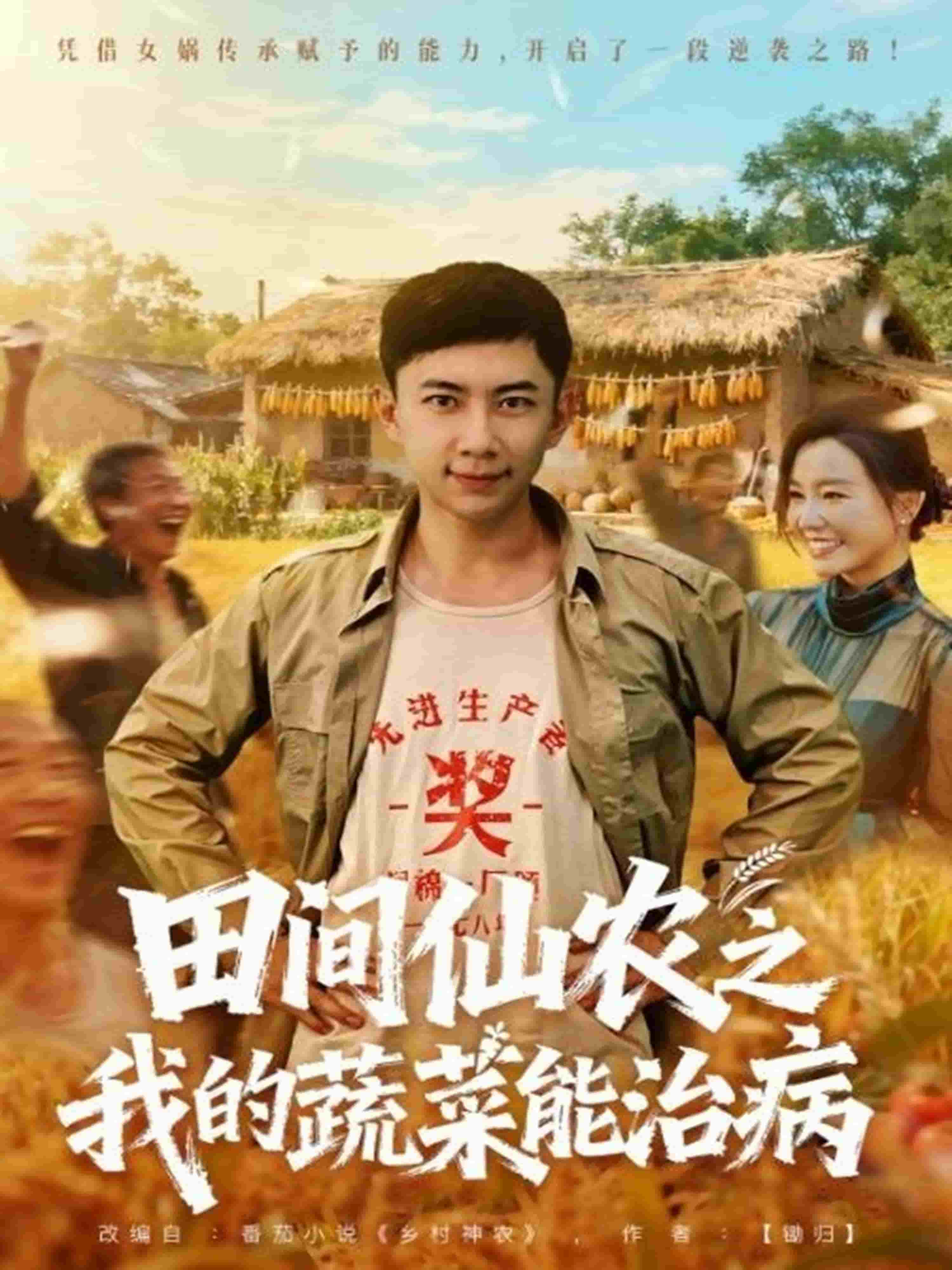 田间仙农之我的蔬菜能治病(全集)