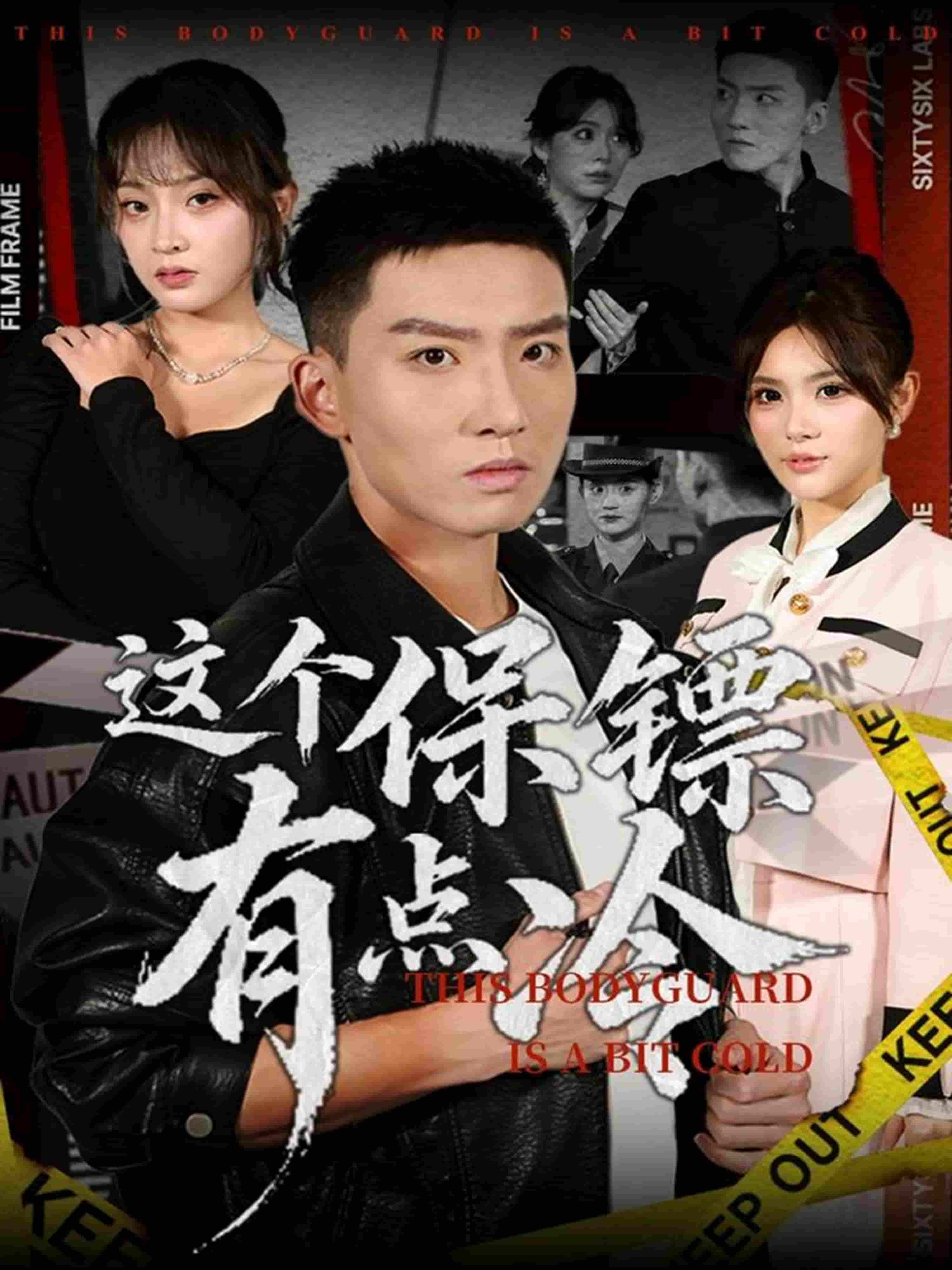 这个保镖有点冷(全集)